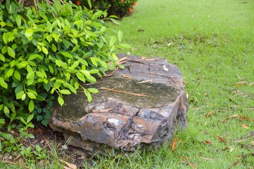 big stone in nature garden Thailand