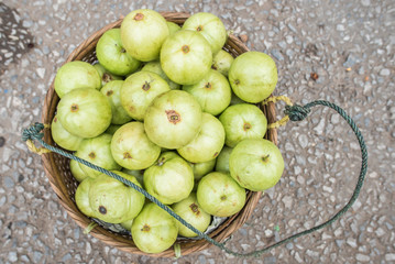 Guavas in the basket
