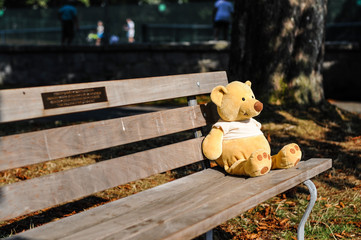 Bear toy sitting on a bench in a park
