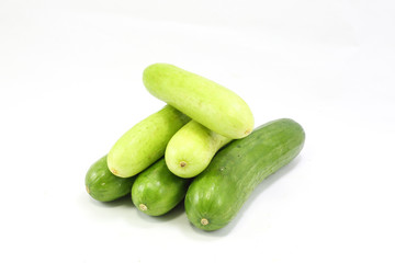 Cucumber Cucumis sativus