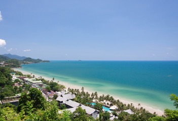 Fototapeta na wymiar Beach with coconuts, top view