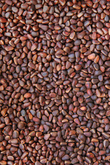 Pine nuts background