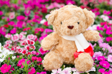 .Teddy bear in flower garden