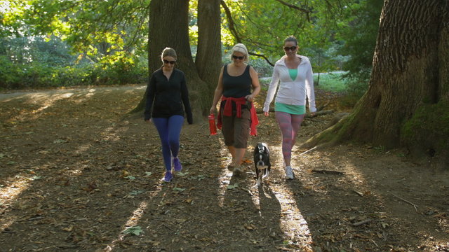 Family of Three Women Walking Dog through Park in Fall. Mature Lady with Blond and Brunette Young Ladies Walking Boston Terrier in Autumn Forest