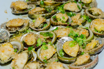 abalone shell