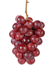 Red grape isolated on the white background