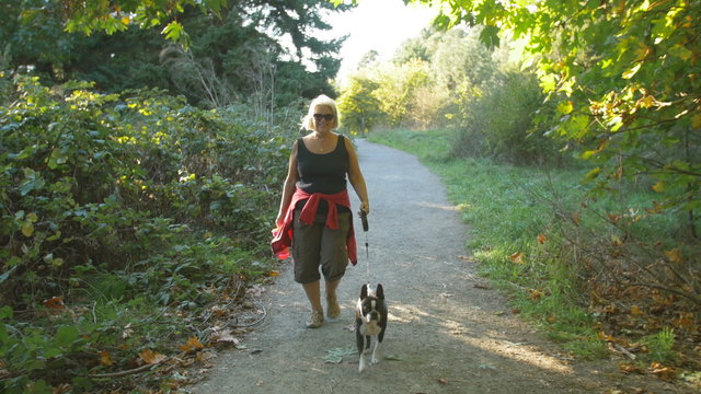 Mature Woman Walking Dog in Park. Grey Haired Lady with Boston Terrier on Forest Trail in Autumn