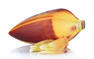 Banana blossom isolated on white background