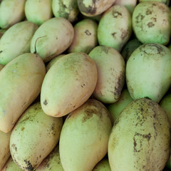 Il mercato di Phuket town
