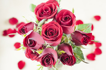 Bouquet of beautiful red roses in vase