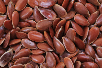 flax seed texture