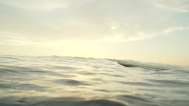 Slow Motion Surfer Girl Paddling At Sunset 