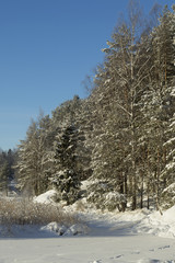 Norwegian winter landscape