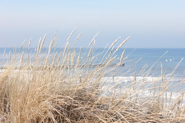 Naklejka premium Ostsee Winter Schnee Seegras Strand