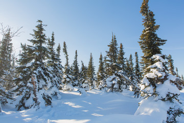 Beautiful winter landscape.