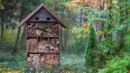 Wooden insect hotel, shelter for wild insects in forest reserve