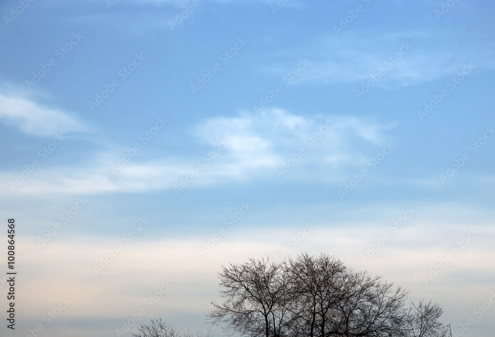 Wall mural abstract background with bokeh defocused beautiful flame clouds in the sky