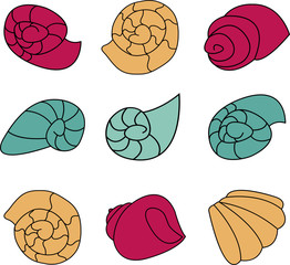 Set of colorful shell on white background