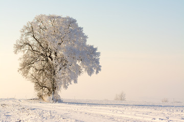 Winter in Thüringen