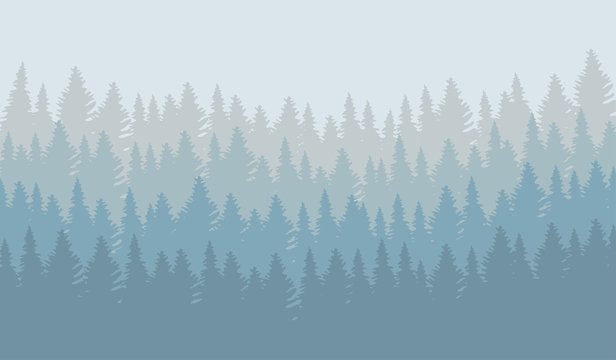 Vector illustration of wild coniferous forest