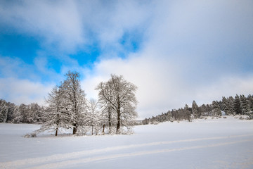 Winter Schwäbische Alb
