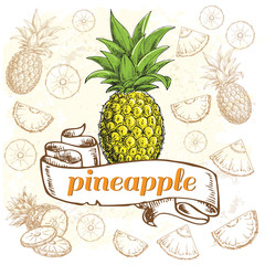 hand drawn sketch illustration a pineapple collection