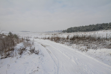 Fototapeta premium Winter landscape 