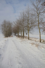 Obraz premium Winter landscape 