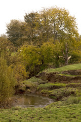 Fototapeta na wymiar English Countryside. A small river has carved its way through a rural landscape creating a quiet little corner to enjoy.