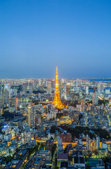 Fototapeta premium Tokyo city view and Tokyo Tower at twilight