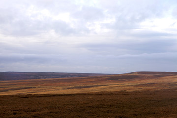 Fototapeta na wymiar Moors in Autumn. The spectacular colour of the moors in autumn contrast with the overcast sky. The lack of any vegetation other than the bracken empahsizes the hugeness of the landscape.