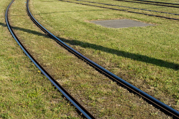 Grass tram track in Zurich Switzerland.