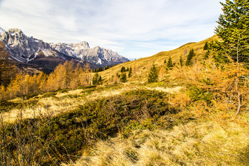 Autumn morning in the alps