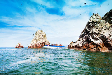 Fototapeta premium Birds in Ballestas Island (Paracas/Pisco, Peru)