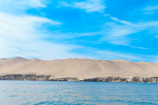 Birds in Ballestas Island (Paracas/Pisco, Peru)