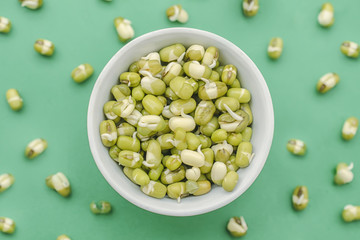mung bean sprouts