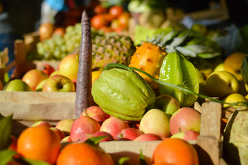 Colorful background from many different fruits at a farmers market 