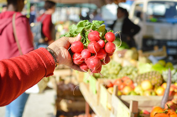 Holding Fresh radish with one hand, isolated