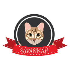 flat icon pedigreed cat savannah