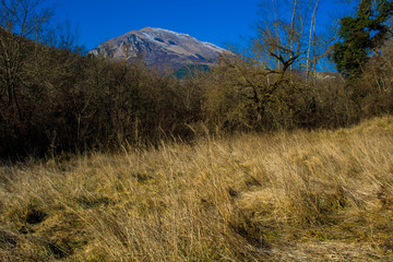 Mountain landscape in winter