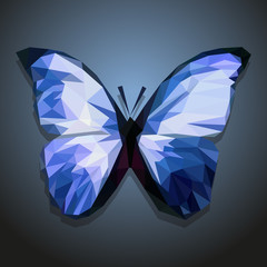 polygonal blue butterfly on gradient background