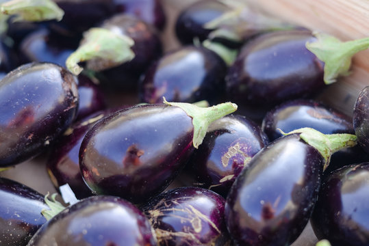 Bunch of organic eggplants sold on a market stall