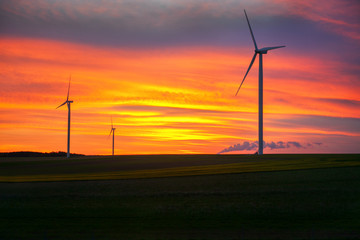 Obraz premium wind turbines in twilight