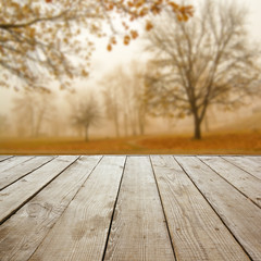 Wooden perspective floor with planks on blurred natural autumn b