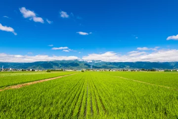 Tuinposter 信州　安曇野の田園風景 © oben901