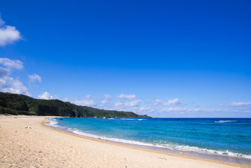 Fototapeta na wymiar 沖縄のビーチ・アダンビーチ 