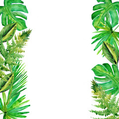 Tropical leaves. Floral design background.