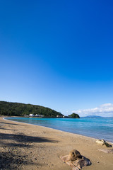 Fototapeta na wymiar 沖縄のビーチ・津波海岸（つはかいがん） 