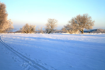 Fototapeta premium Empty cross-country ski track and winter meadow in Table Mountains in Poland Sudetes by sunrise