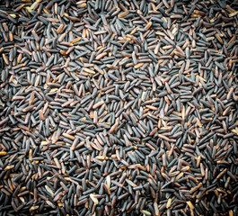 Black rice Thailand (Berry rice), organic rice